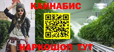 индика Мариинск