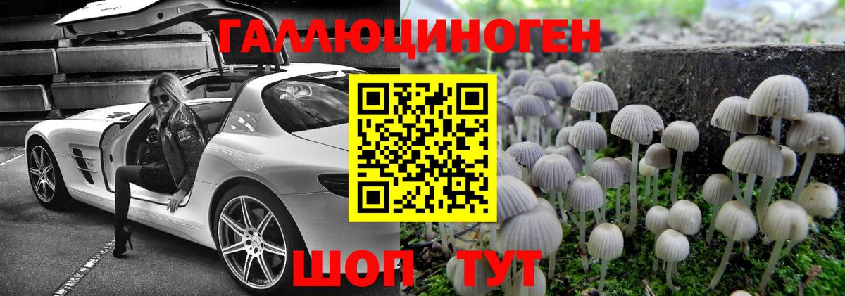 Псилоцибиновые грибы MAGIC MUSHROOMS Волгодонск